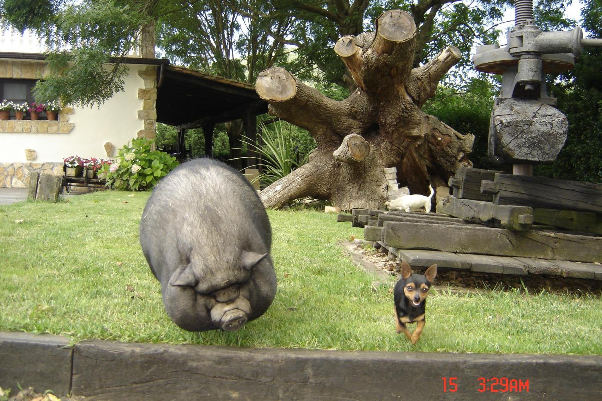 Casa Rural Jesuskoa ซูมายา ภายนอก รูปภาพ